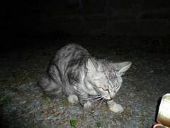20100927_1.jpg