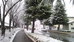 20121127_3.jpg