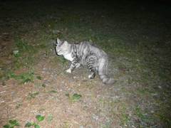 20100927_3.jpg