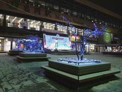 20101216_2.jpg