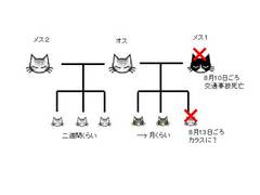 20110829_3.jpg